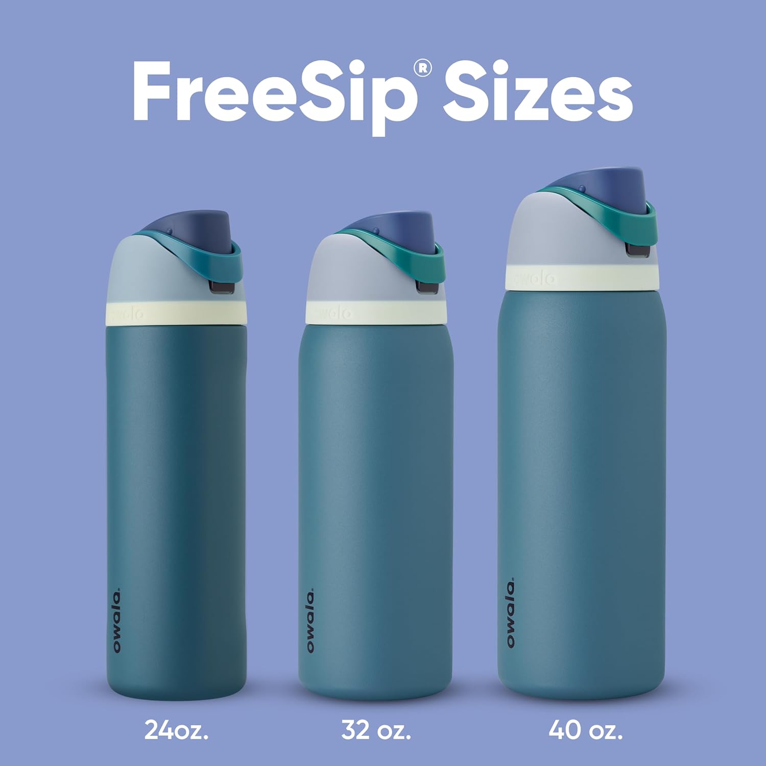 Owala FreeSip 24oz Stainless Steel Water Bottle Leak-Proof Straw
