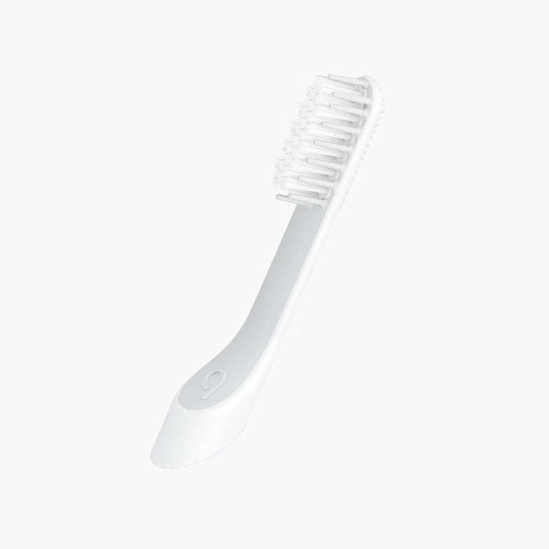Quip Sonic Electric Metal Toothbrush with Travel Case – Slate